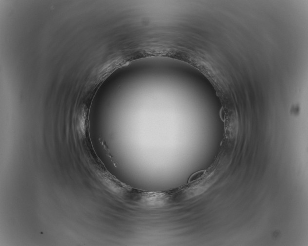 X0000097480334200802221357
