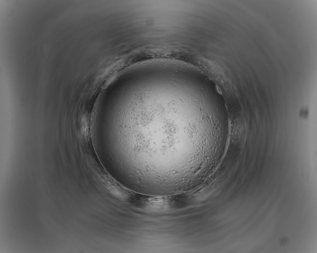 X0000097480335200802221357