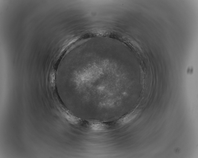 X0000097480336200802221357