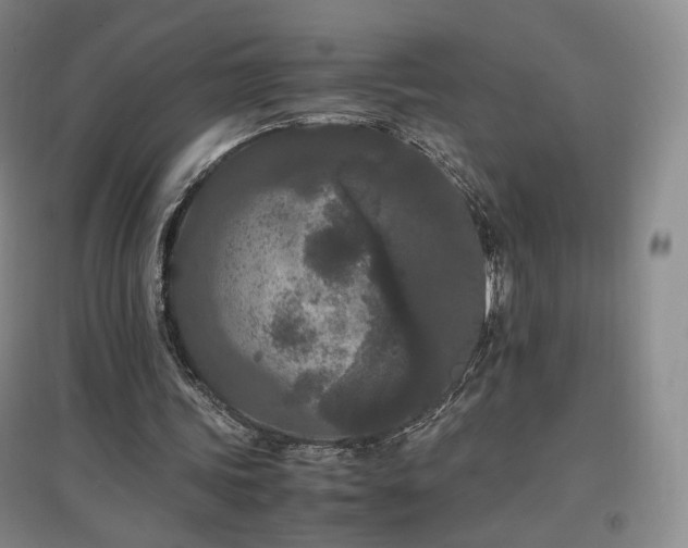 X0000097480339200802221357