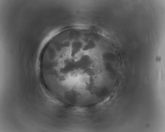 X0000097480343200802221357