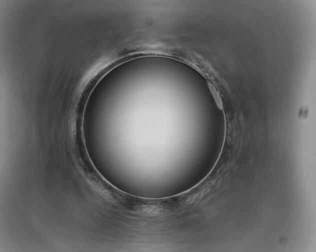 X0000097480344200802221357
