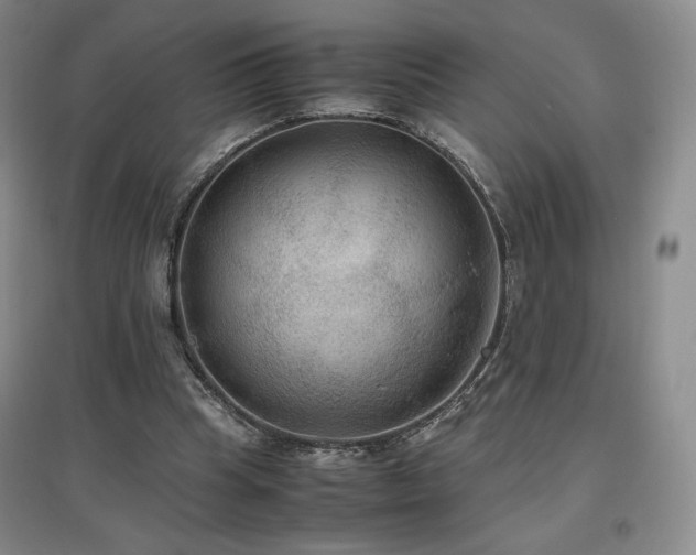 X0000097480345200802221357