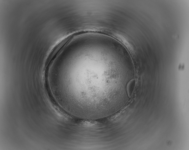 X0000097480346200802221357