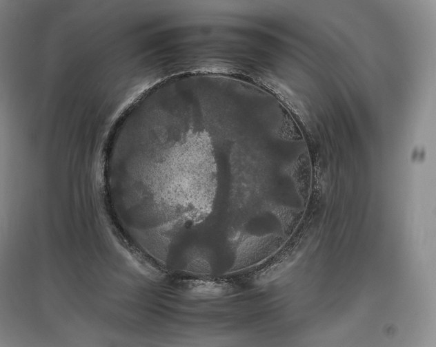 X0000097480347200802221357