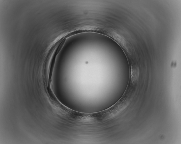 X0000097480348200802221357