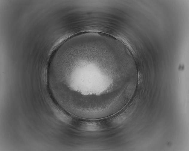 X0000097480349200802221357