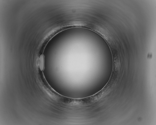 X0000097480350200802221357