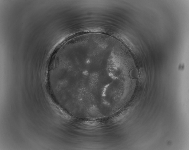 X0000097480351200802221357