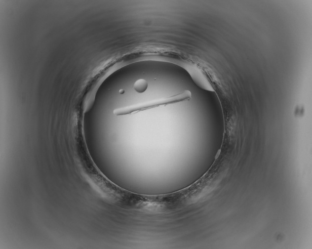X0000097480352200802221357