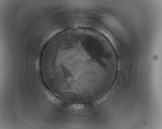 X0000097480353200802221357