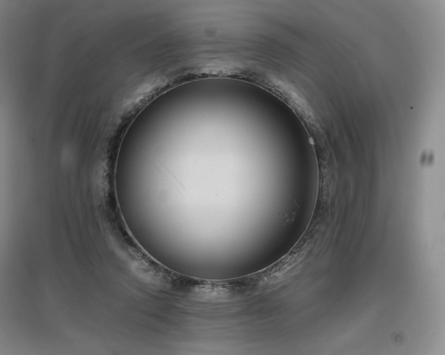X0000097480354200802221357