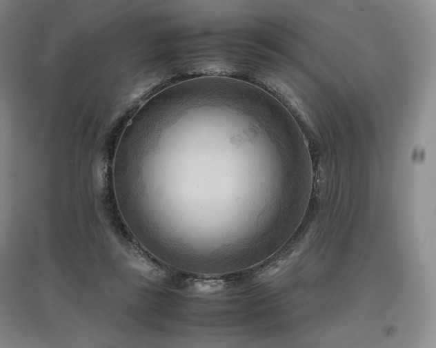 X0000097480355200802221357