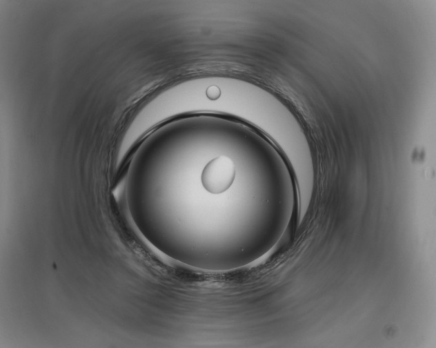 X0000097480356200802221357