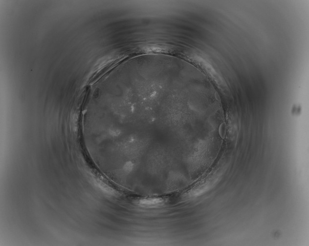 X0000097480357200802221357