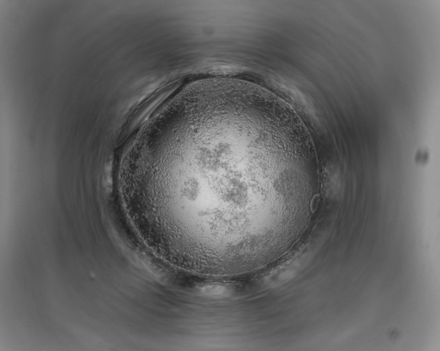 X0000097480358200802221357