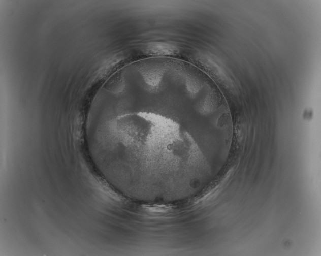 X0000097480359200802221357