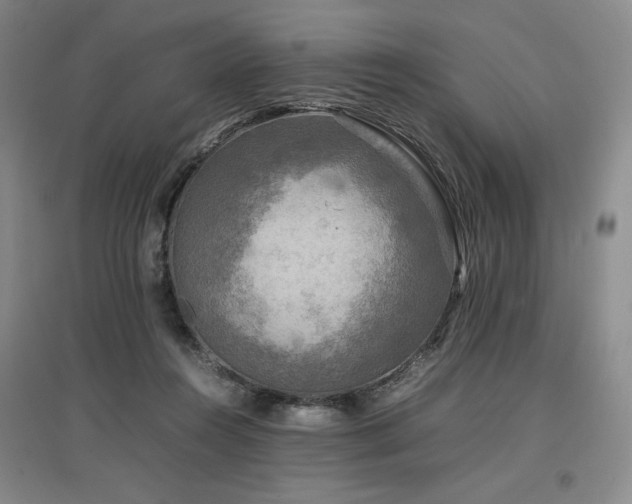 X0000097480360200802221357