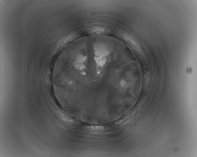 X0000097480361200802221357