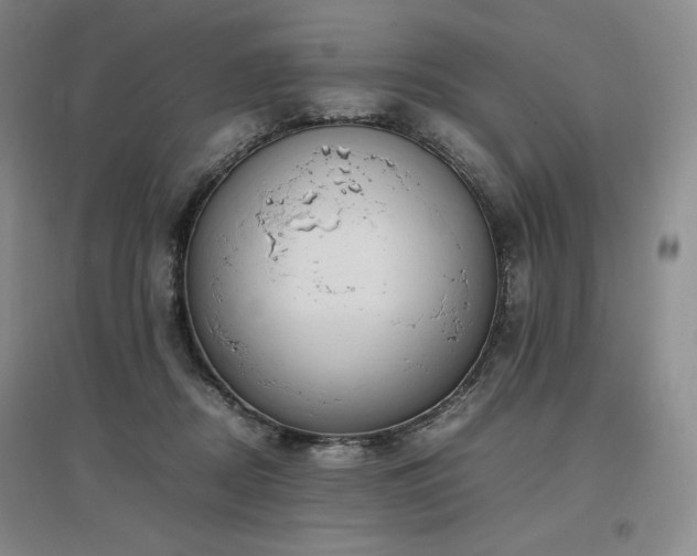 X0000097480362200802221357