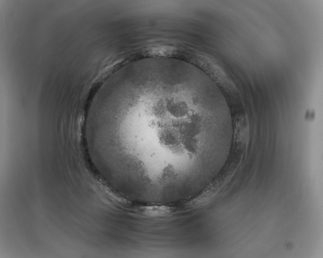 X0000097480363200802221357