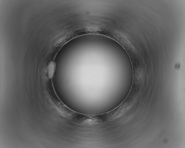 X0000097480364200802221357