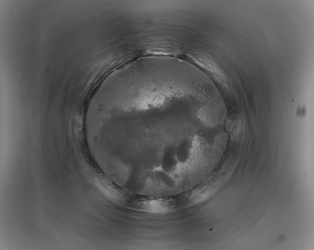 X0000097480365200802221357