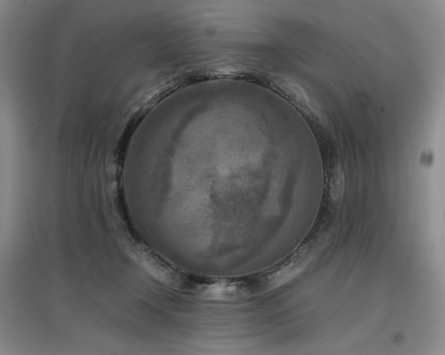 X0000097480366200802221357