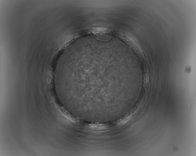 X0000097480367200802221357