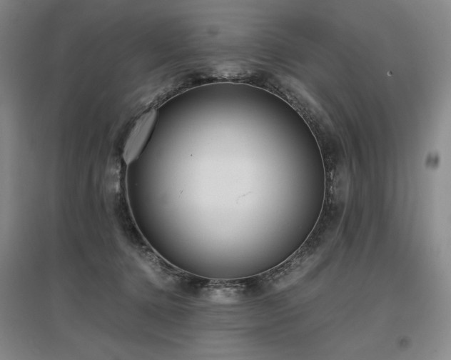 X0000097480368200802221357