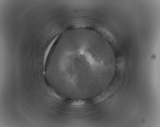 X0000097480369200802221357