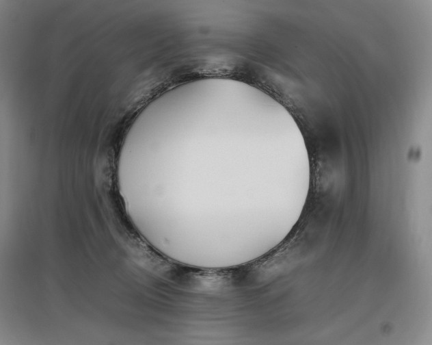 X0000097480370200802221357