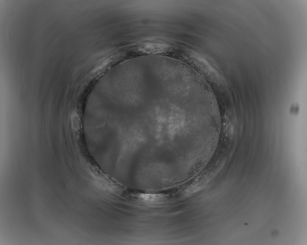 X0000097480371200802221357