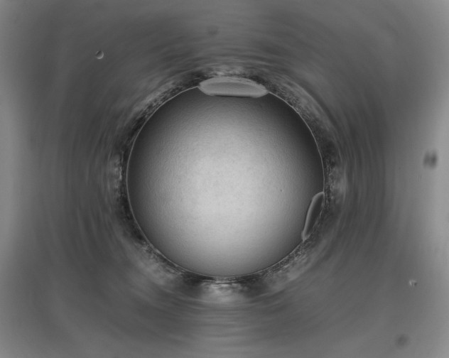 X0000097480372200802221357