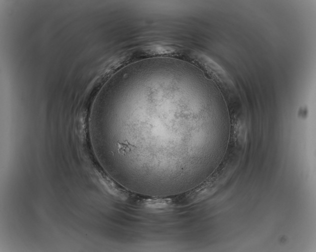 X0000097480373200802221357