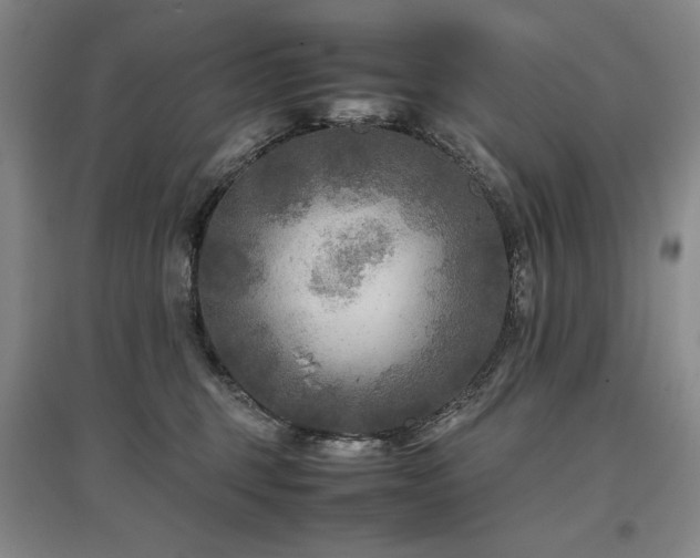 X0000097480375200802221357