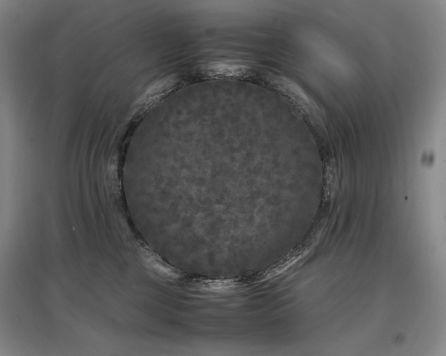 X0000097480377200802221357