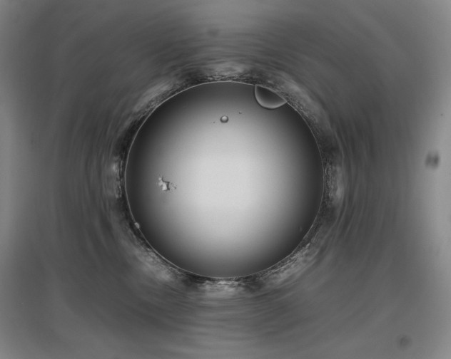X0000097480378200802221357