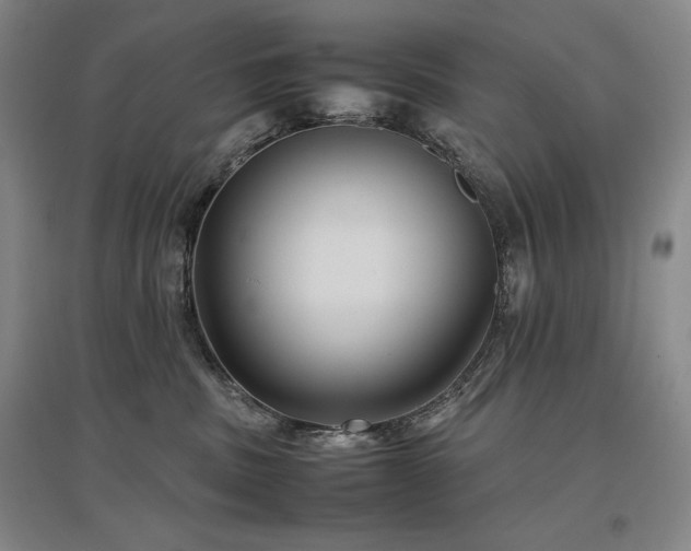 X0000097480379200802221357