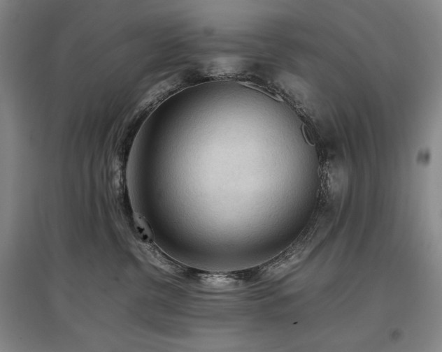 X0000097480380200802221357