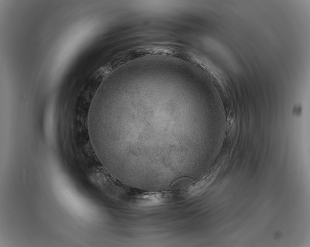 X0000097480381200802221357
