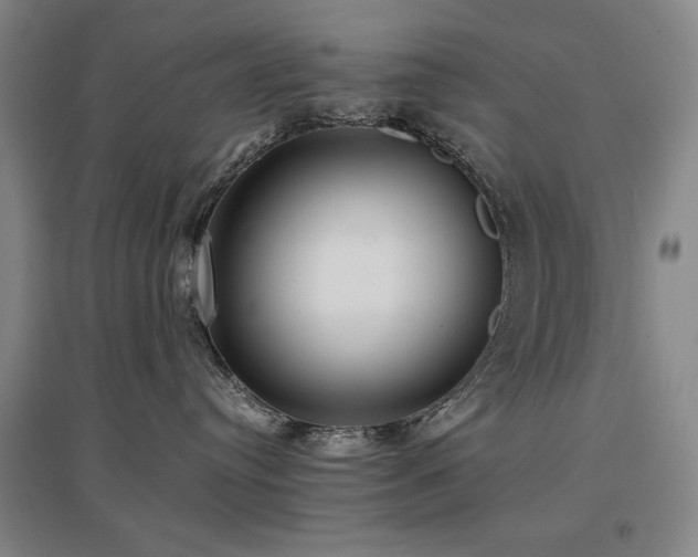 X0000097480384200802221357
