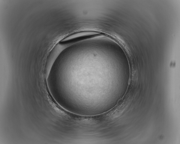 X0000097480385200802221357