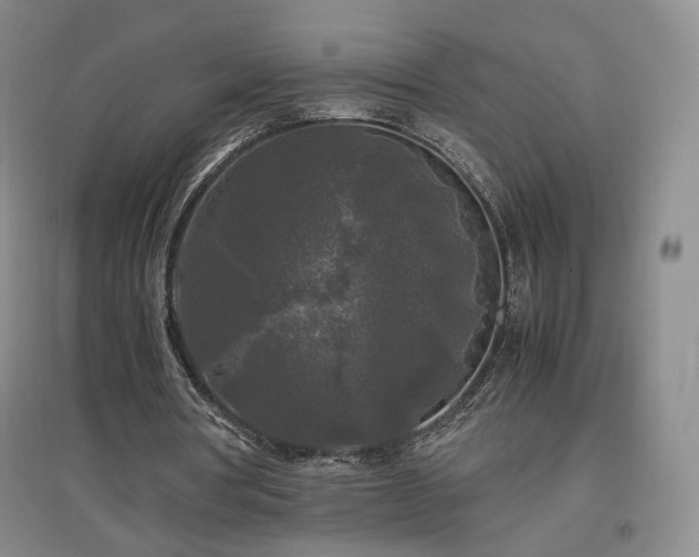 X0000097480386200802221357