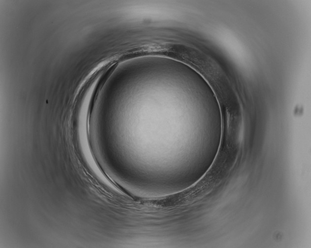 X0000097480387200802221357