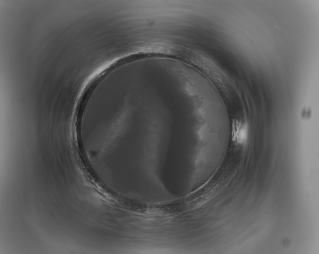 X0000097480388200802221357