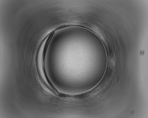 X0000097480389200802221357