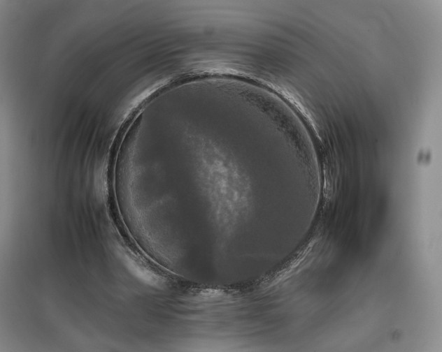 X0000097480390200802221357