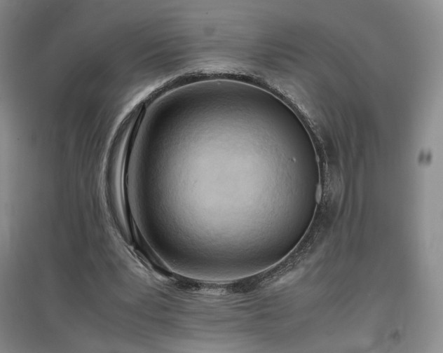 X0000097480391200802221357