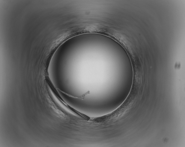 X0000097480393200802221357